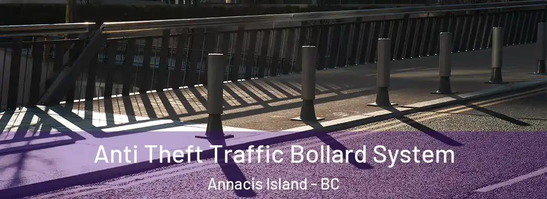  Anti Theft Traffic Bollard System Annacis Island - BC