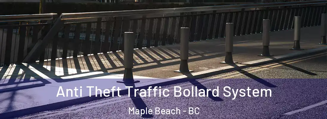  Anti Theft Traffic Bollard System Maple Beach - BC