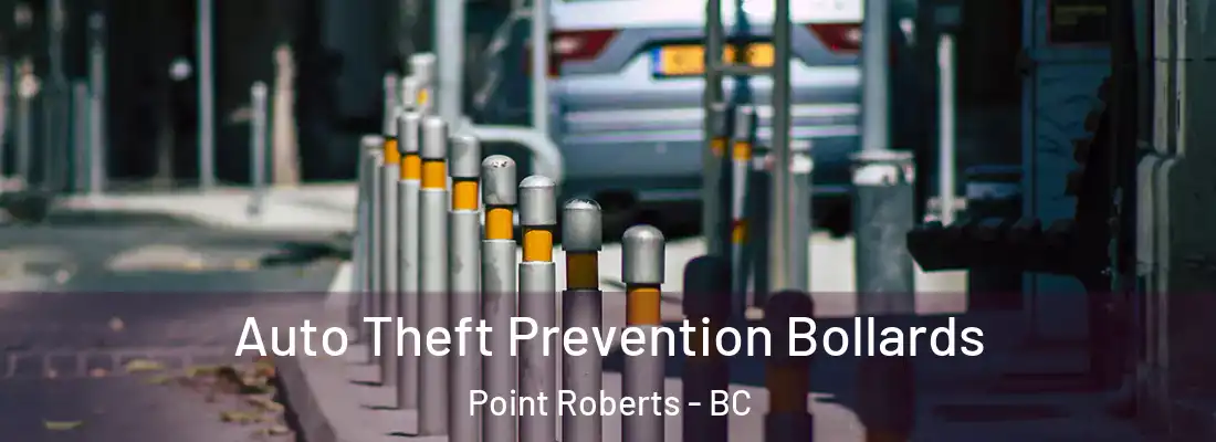  Auto Theft Prevention Bollards Point Roberts - BC