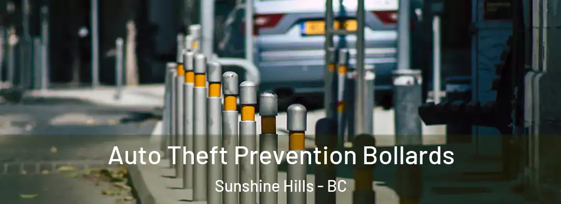  Auto Theft Prevention Bollards Sunshine Hills - BC