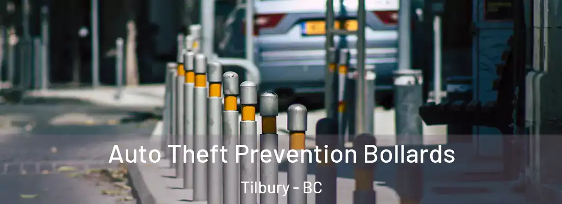  Auto Theft Prevention Bollards Tilbury - BC