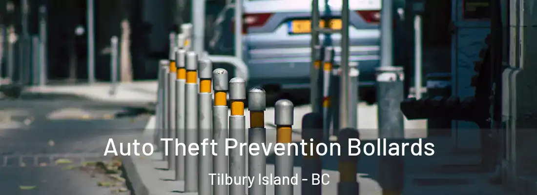  Auto Theft Prevention Bollards Tilbury Island - BC