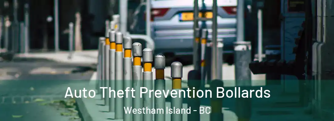  Auto Theft Prevention Bollards Westham Island - BC