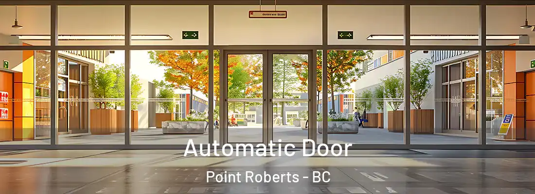  Automatic Door Point Roberts - BC