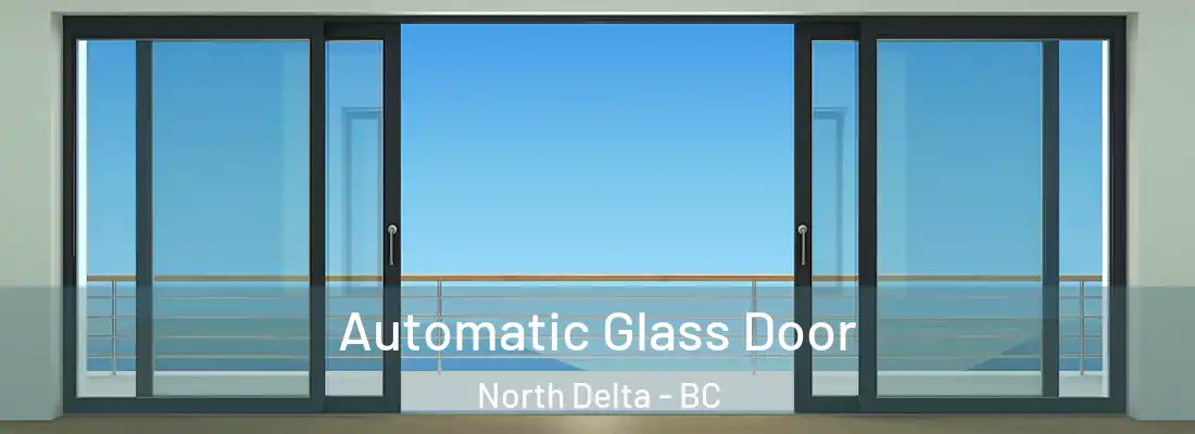  Automatic Glass Door North Delta - BC