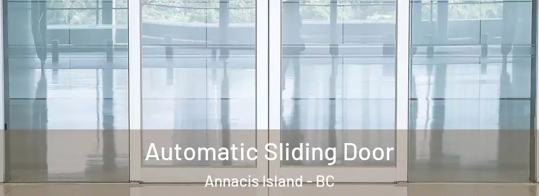  Automatic Sliding Door Annacis Island - BC