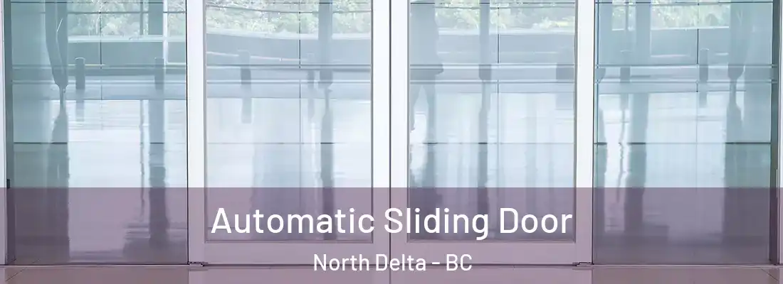  Automatic Sliding Door North Delta - BC