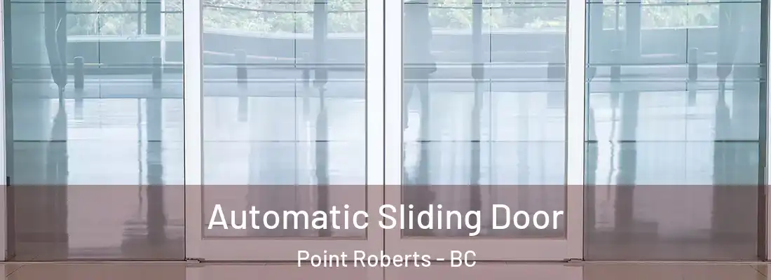  Automatic Sliding Door Point Roberts - BC