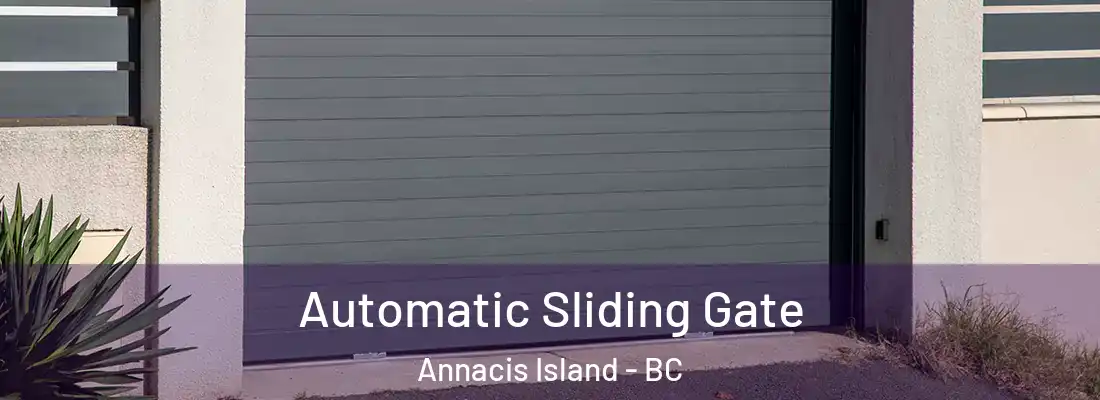  Automatic Sliding Gate Annacis Island - BC