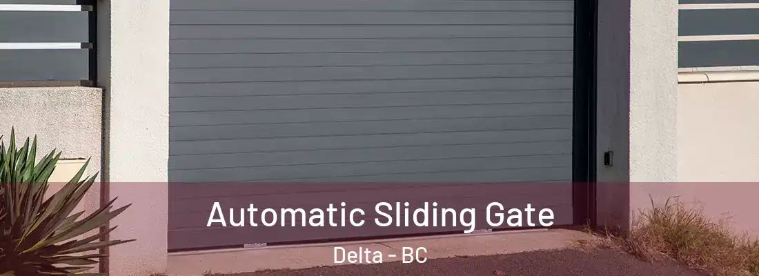  Automatic Sliding Gate Delta - BC