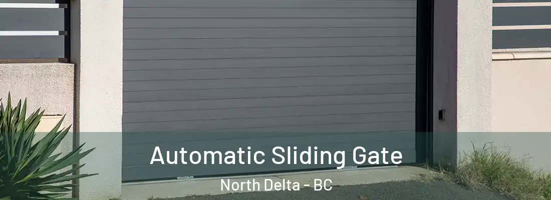  Automatic Sliding Gate North Delta - BC