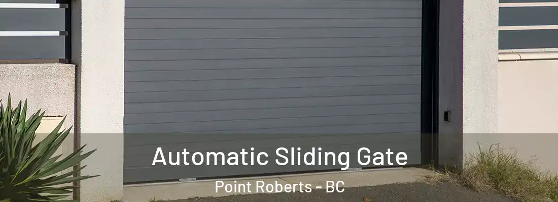  Automatic Sliding Gate Point Roberts - BC
