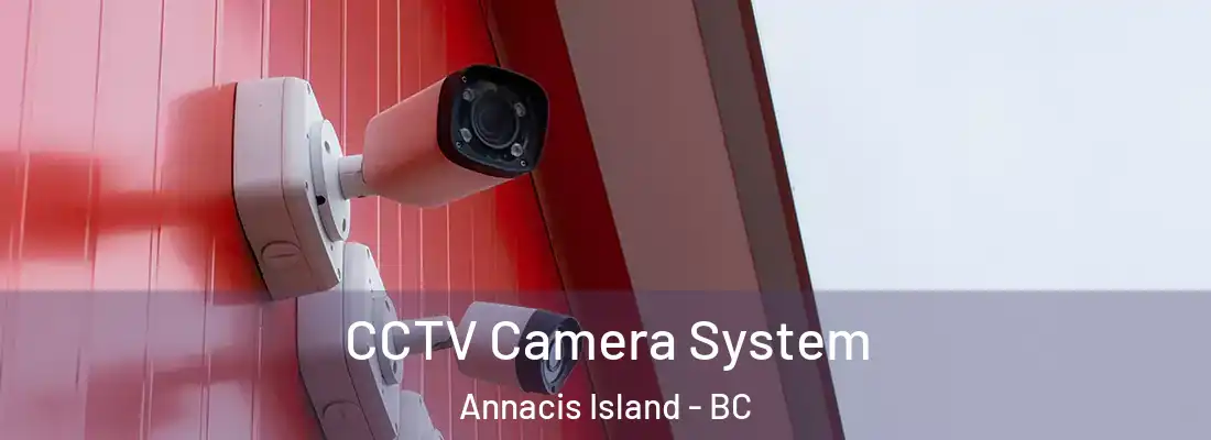  CCTV Camera System Annacis Island - BC
