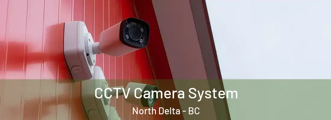  CCTV Camera System North Delta - BC