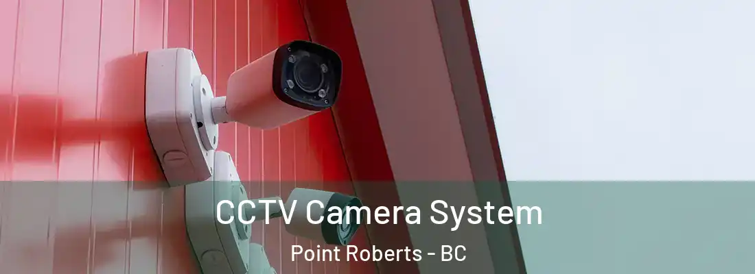  CCTV Camera System Point Roberts - BC