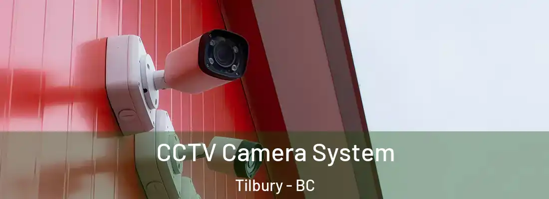  CCTV Camera System Tilbury - BC
