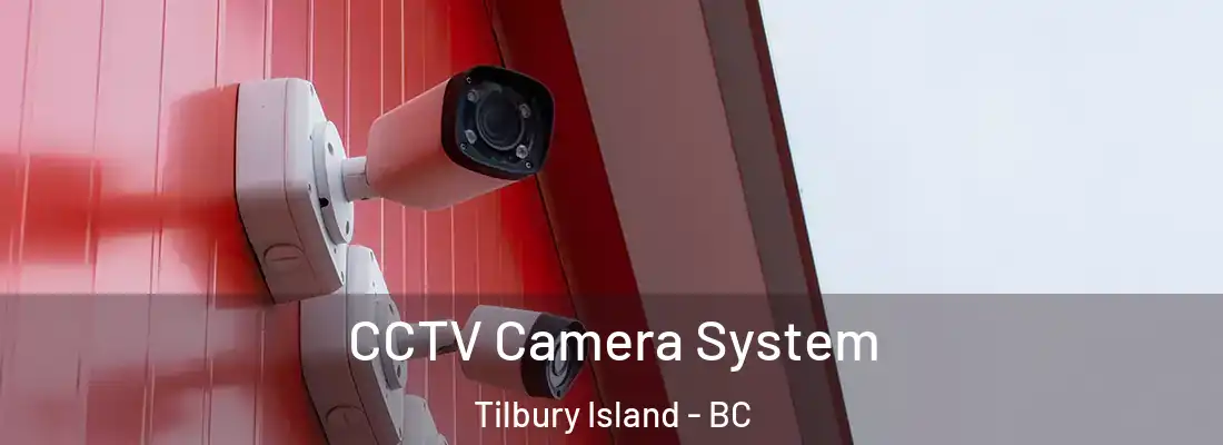  CCTV Camera System Tilbury Island - BC