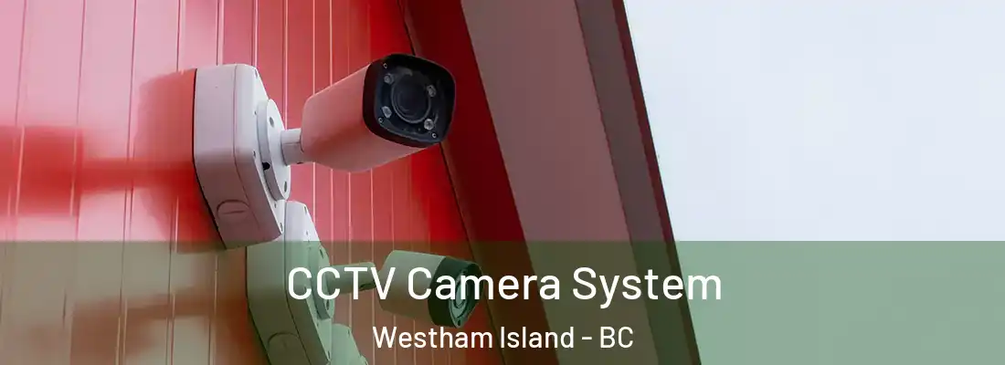  CCTV Camera System Westham Island - BC