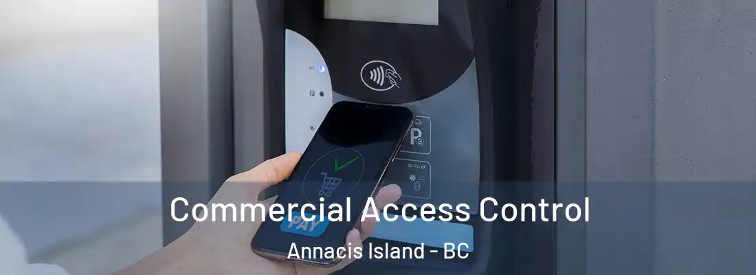  Commercial Access Control Annacis Island - BC