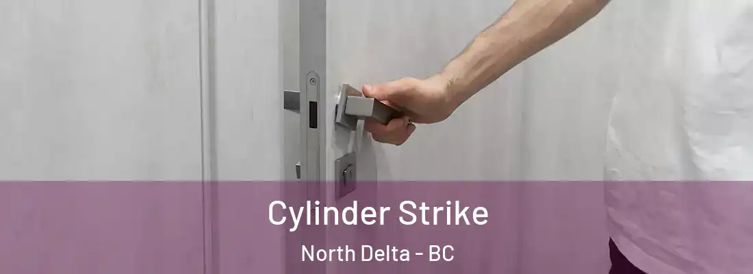  Cylinder Strike North Delta - BC