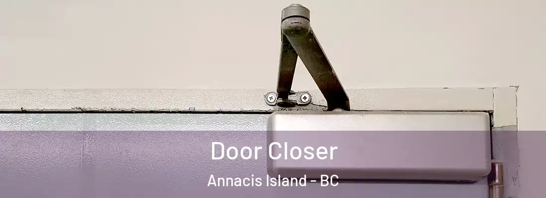  Door Closer Annacis Island - BC