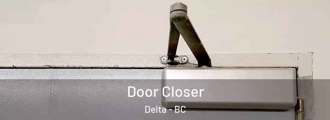  Door Closer Delta - BC