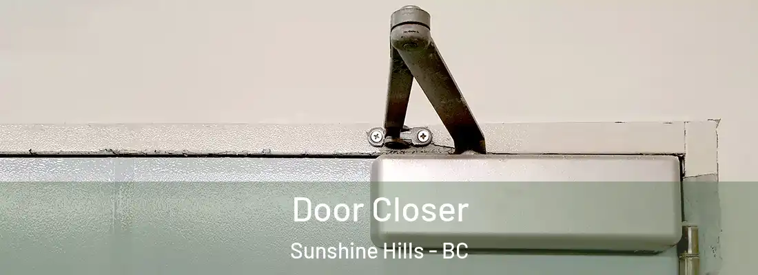  Door Closer Sunshine Hills - BC