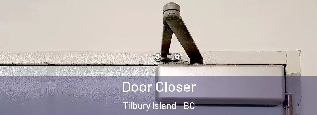  Door Closer Tilbury Island - BC