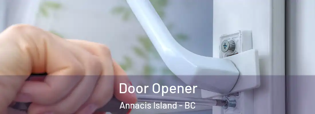  Door Opener Annacis Island - BC