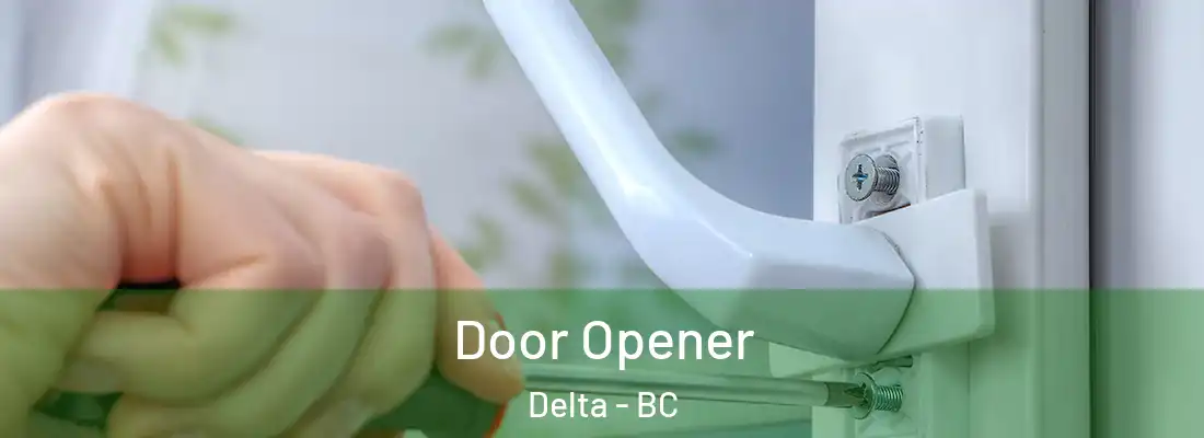  Door Opener Delta - BC