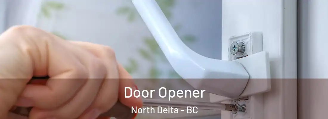  Door Opener North Delta - BC