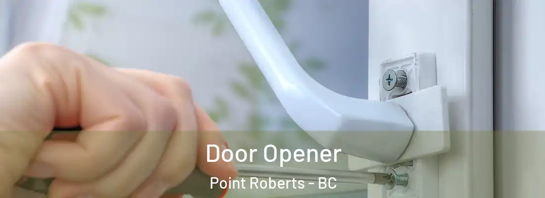  Door Opener Point Roberts - BC