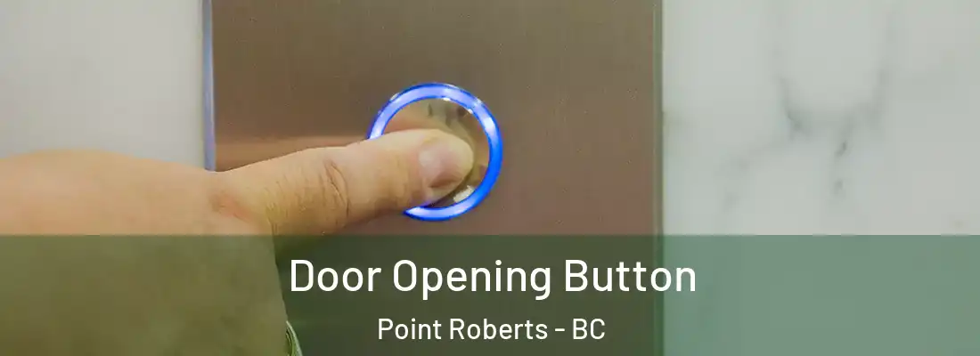  Door Opening Button Point Roberts - BC