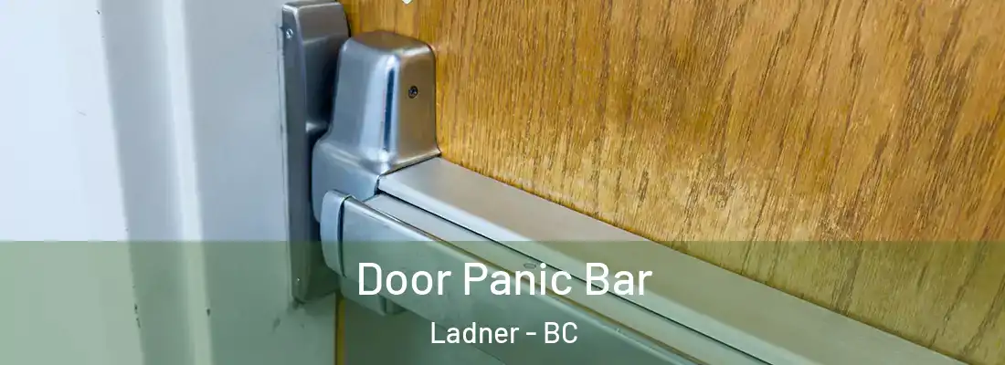  Door Panic Bar Ladner - BC