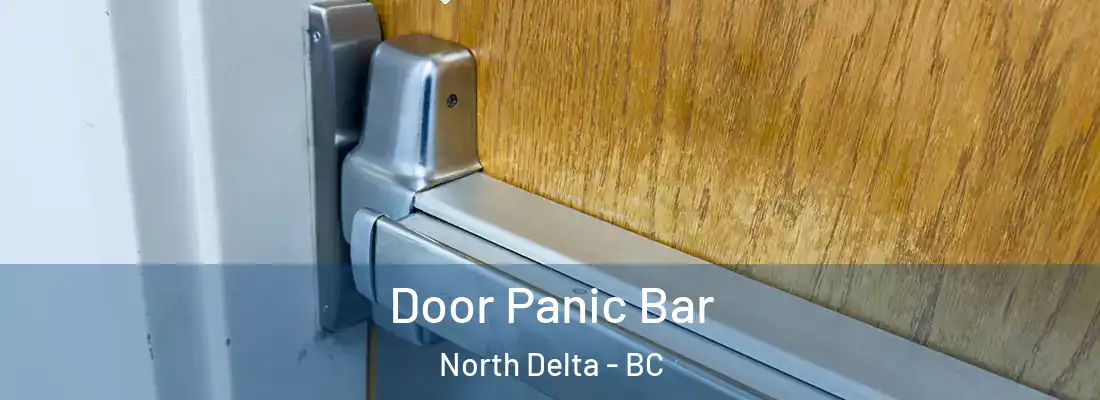  Door Panic Bar North Delta - BC