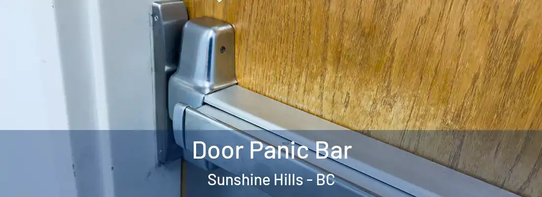  Door Panic Bar Sunshine Hills - BC