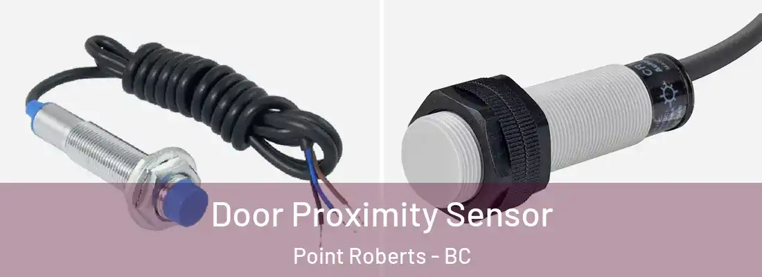  Door Proximity Sensor Point Roberts - BC