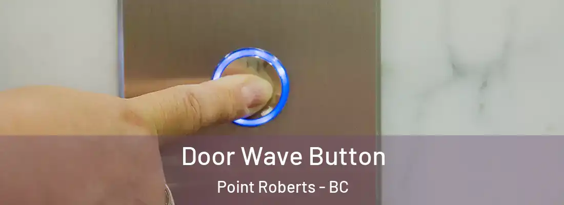  Door Wave Button Point Roberts - BC