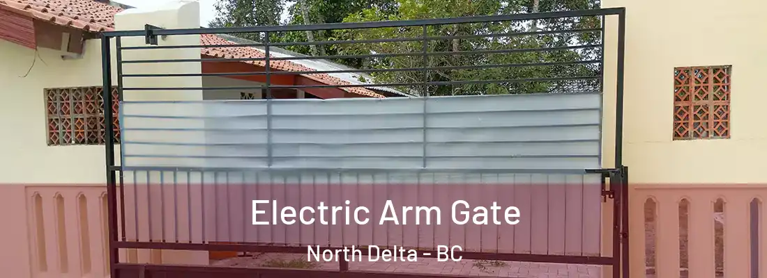  Electric Arm Gate North Delta - BC