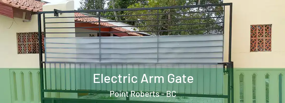  Electric Arm Gate Point Roberts - BC