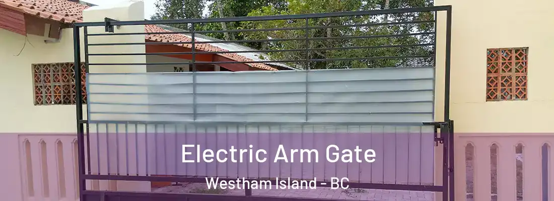  Electric Arm Gate Westham Island - BC