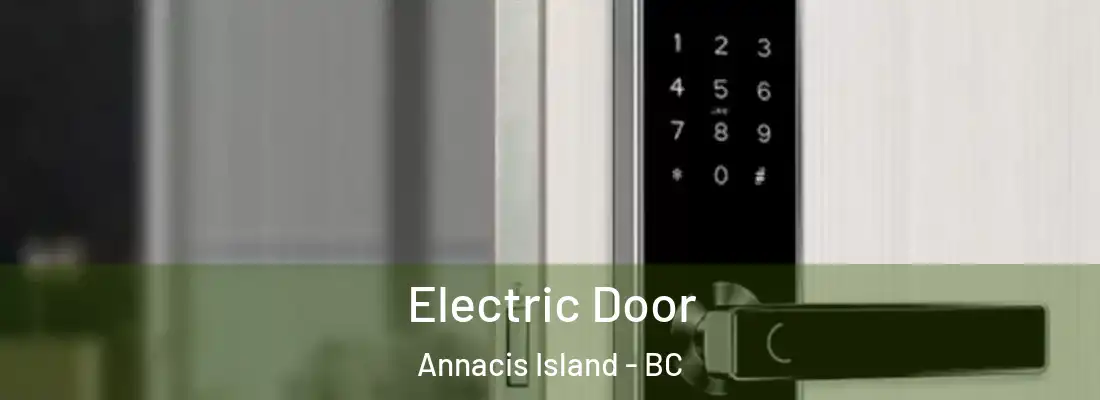  Electric Door Annacis Island - BC