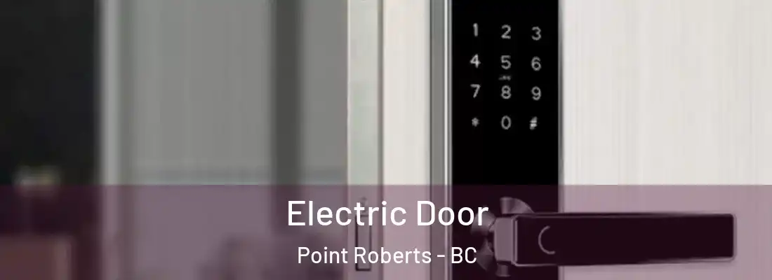  Electric Door Point Roberts - BC