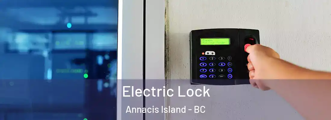  Electric Lock Annacis Island - BC