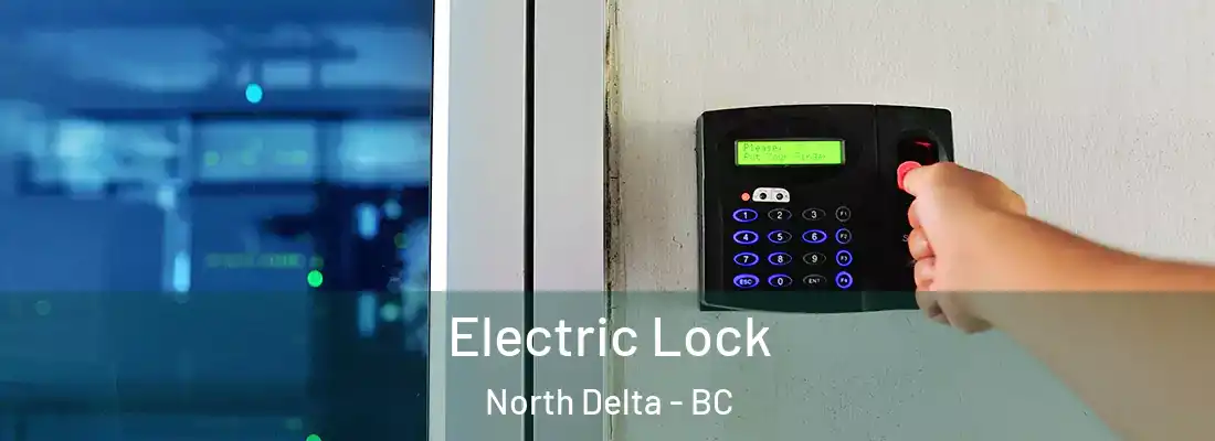  Electric Lock North Delta - BC
