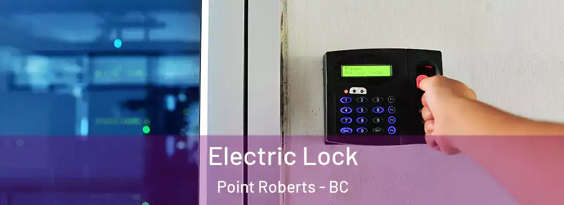  Electric Lock Point Roberts - BC