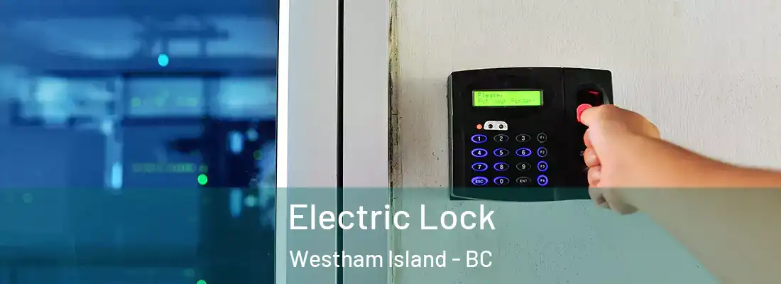  Electric Lock Westham Island - BC