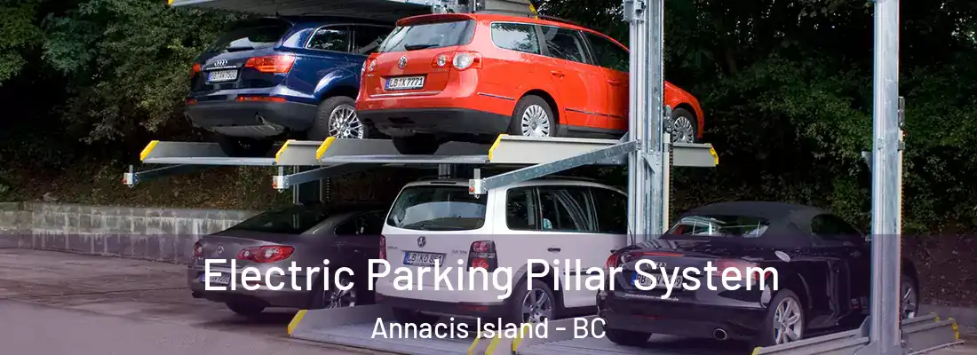  Electric Parking Pillar System Annacis Island - BC