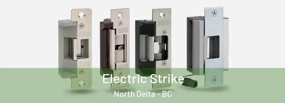  Electric Strike North Delta - BC