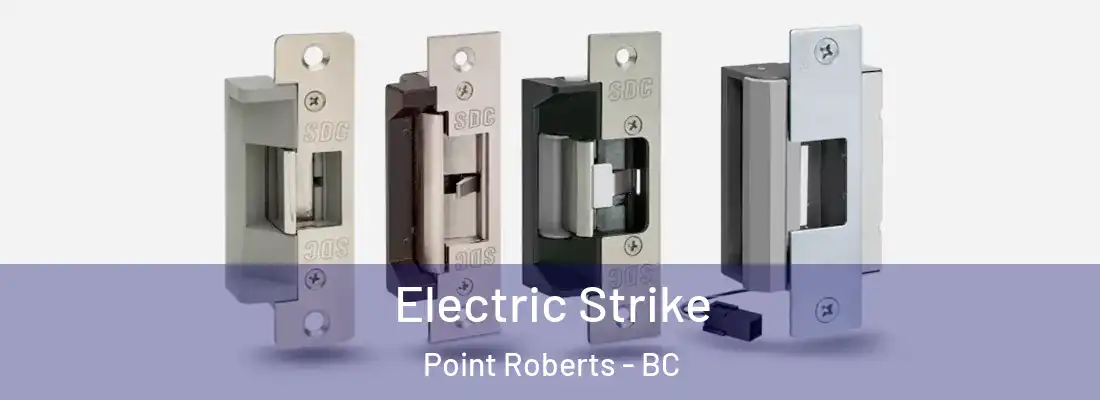  Electric Strike Point Roberts - BC
